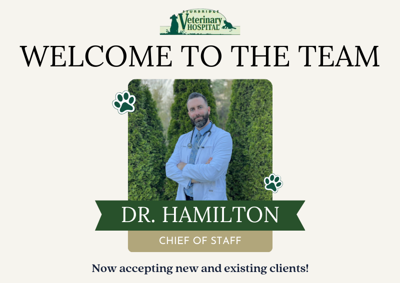 Carousel Slide 1: Dr. Tom Hamilton