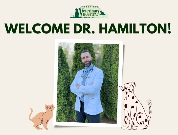 Welcome Dr. Tom Hamilton